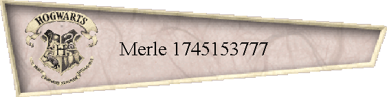 Merle 1745153777