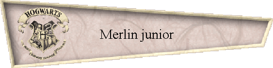 Merlin junior