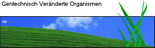 Gentechnisch Vernderte Organismen